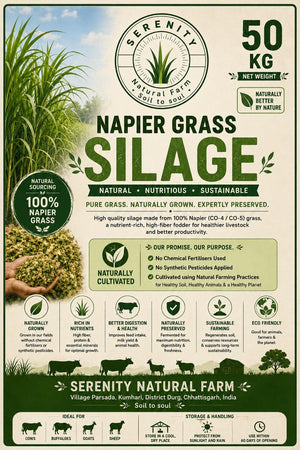 Napier Grass Silage