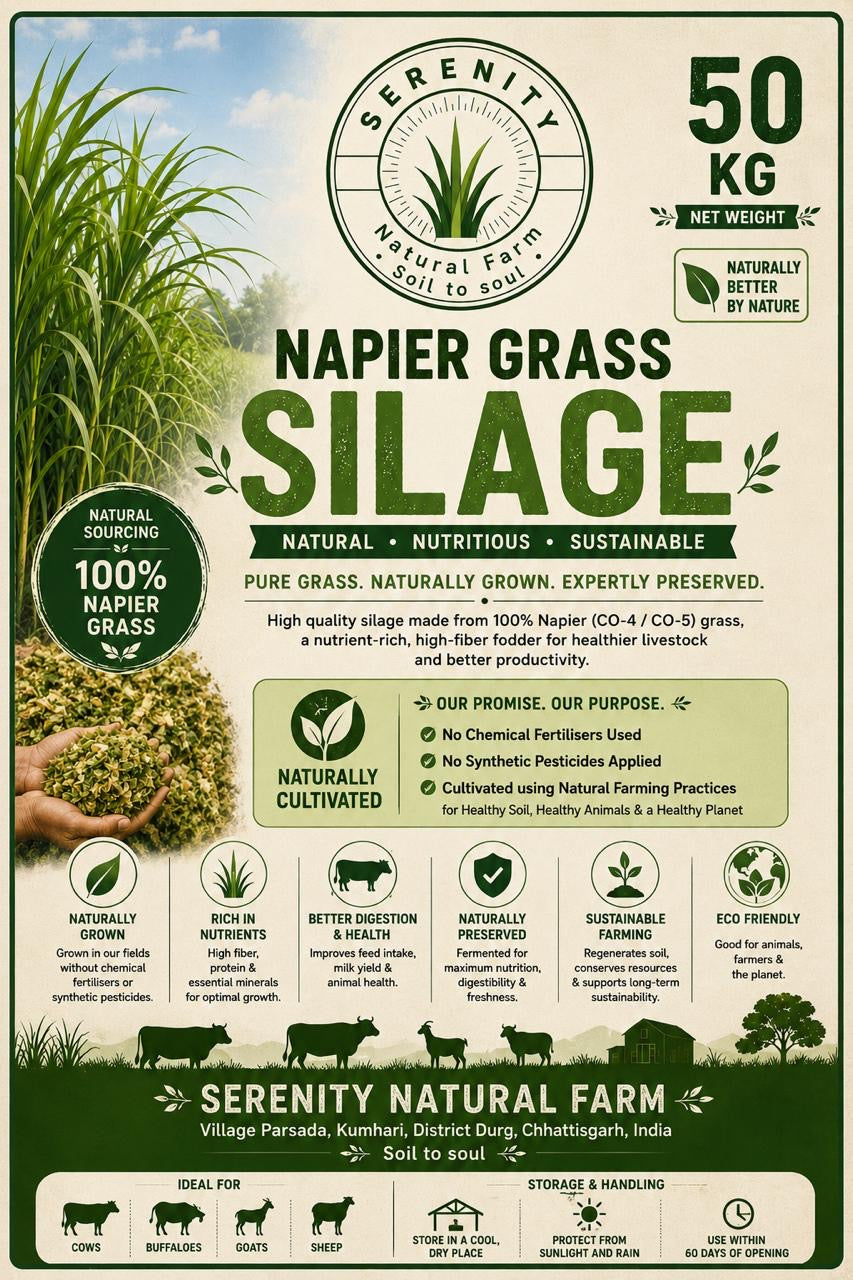 Napier Grass Silage